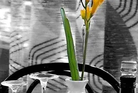 Miramonti 3*